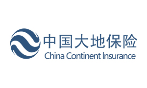 大地保险